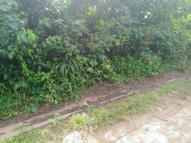 2 Plots Don Sayarwa a Oakwood Junction, Nsukwe, Umuahia - 1
