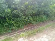 2 Plots Don Sayarwa a Oakwood Junction, Nsukwe, Umuahia - 1