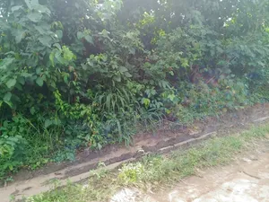 2 Plots Don Sayarwa a Oakwood Junction, Nsukwe, Umuahia