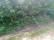 2 Plots Don Sayarwa a Oakwood Junction, Nsukwe, Umuahia - 2