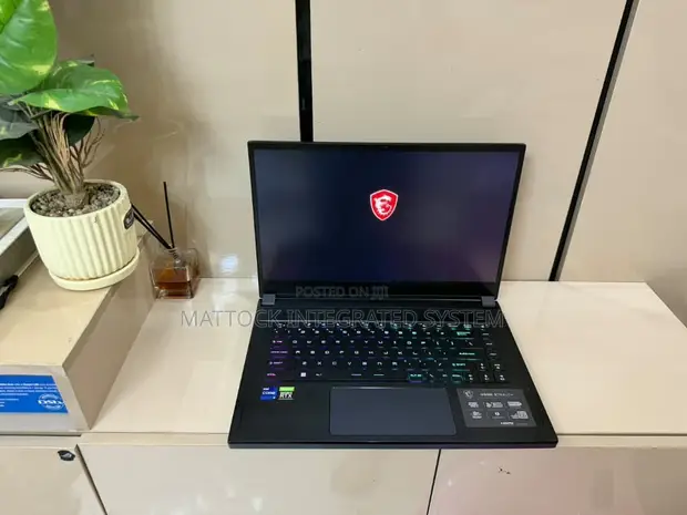 MSI GS66 Stealth 10UH Laptop - Intel Core i9, 64GB RAM, 1TB SSD - 1