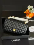 Classic Chanel Bag - 25cm - 2