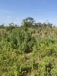 350sqm Estate Plot for 4-Bedroom Semi-Detached Penthouse & BQ in Guzape - 2