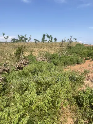 500sqm Estate Plot don 4-Bedroom Penthouse + BQ a Guzape