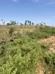 500sqm Estate Plot don 4-Bedroom Penthouse + BQ a Guzape - 2