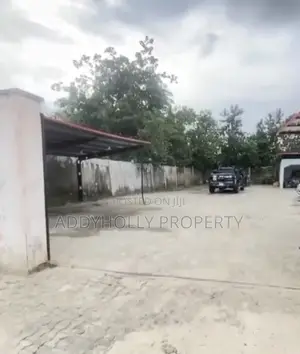 Filin Kasuwanci Don Siyarwa, Hanyar Ogombo