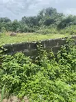 Filin Kasa Mai Kauri don Siyarwa a Ogunfayo, Ibeju Lekki, Lagos - 3