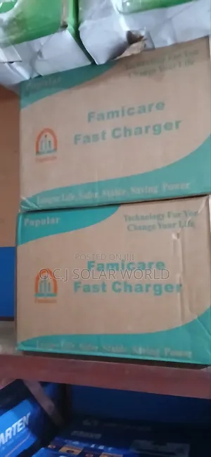 Famicare Solar Battery Charger (12-48V)