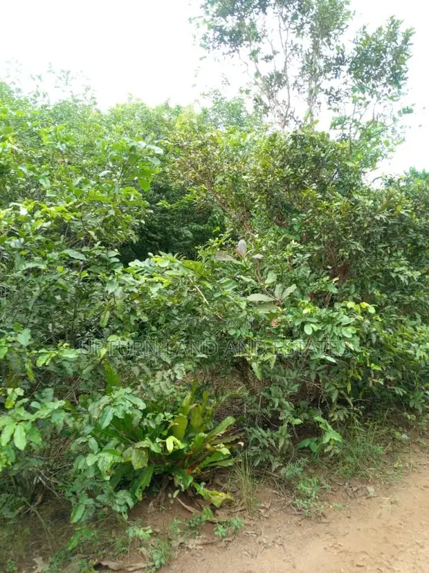 Acre 250 na Filin Noma don Siyarwa a Abeokuta, Jihar Ogun - 1