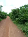 Acre 250 na Filin Noma don Siyarwa a Abeokuta, Jihar Ogun - 3