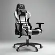 Ergonomic Racing-Style Gaming Chair - Baki & Jaja - 1