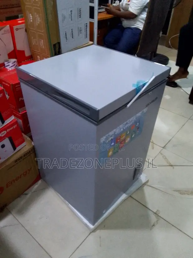 Skyrun BD-90A Chest Freezer - 1