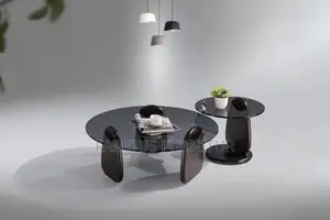Modern 2-in-1 Coffee Table Set with Smoke-Tinted Glass