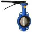 6" Wafer Butterfly Valve - 1