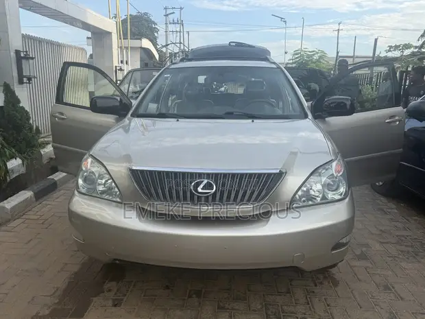 Lexus RX 330 2004 Zinari - 1