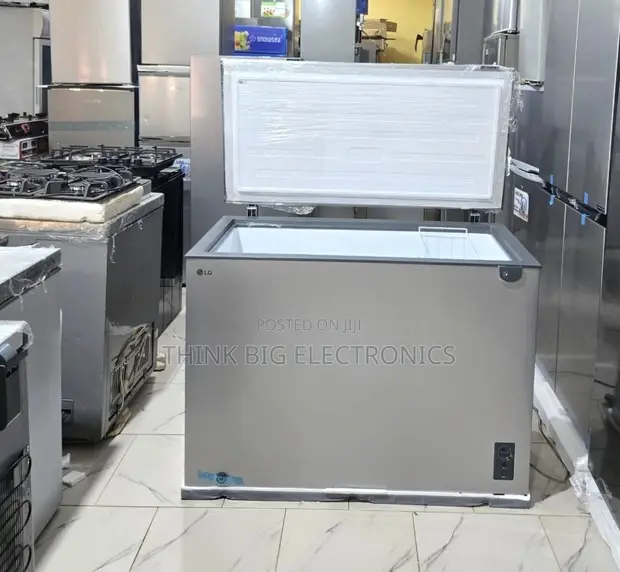 291L LG No Frost Freezer - 1