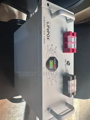 LUXWATT 2.56kWh 24V LiFePO4 Lithium Battery
