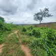 5.3 Acres Land with CofO at Badeku, Ibadan - 1