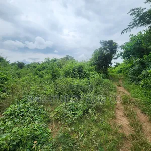 5.3 Acres Land with CofO at Badeku, Ibadan