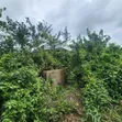5.3 Acres Land with CofO at Badeku, Ibadan - 5