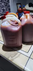 Farm Fresh Palm Oil - 1