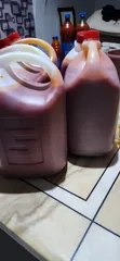 Farm Fresh Palm Oil - 2