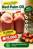 Farm Fresh Palm Oil - 4