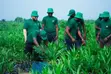 Filin Noma na Dabino don Zuba Jari da Damar Samun Kayan Girbi - Abeokuta - 2