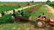 Filin Noma na Dabino don Zuba Jari da Damar Samun Kayan Girbi - Abeokuta - 3