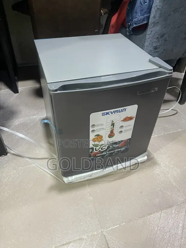 Skyrun BCD-50HW 48L Bedside Refrigerator - 1