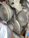 8" Jagaban Dredger - 6 Months Old - 1