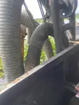 8" Jagaban Dredger - 6 Months Old - 2