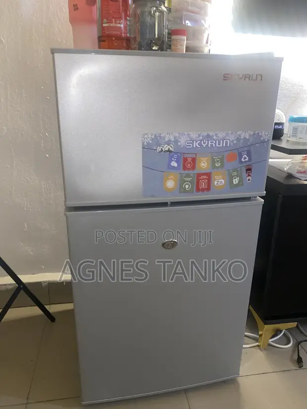 Skyrun Double Door Refrigerator - Few Months Used - 1