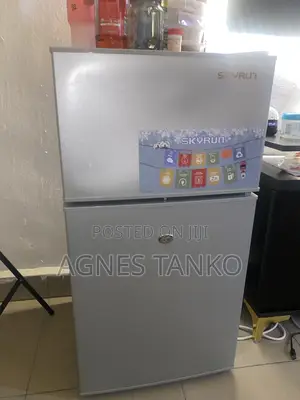 Skyrun Double Door Refrigerator - Few Months Used