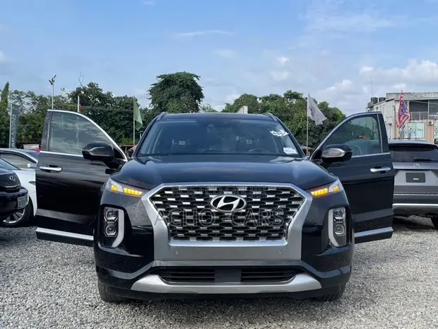 Hyundai Palisade 2020 - Cikakken Zabi - 1
