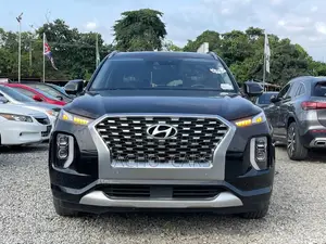 Hyundai Palisade 2020 - Cikakken Zabi