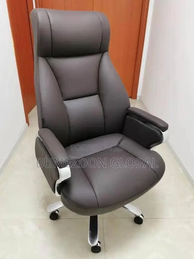 Luxury High-Back Executive Office Chair - 1
