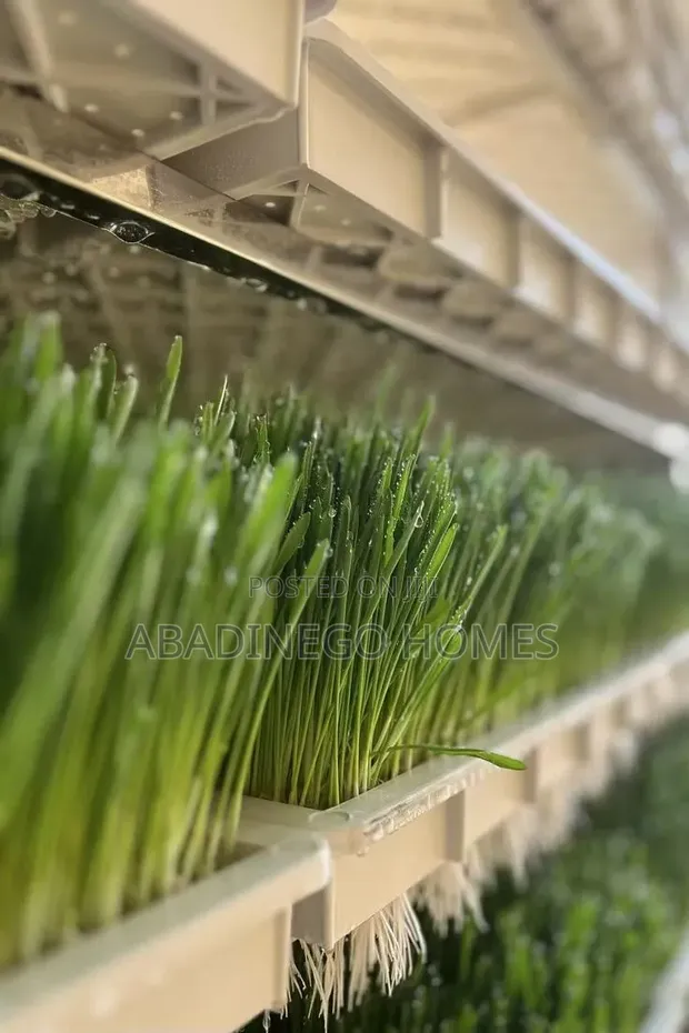 Hydroponic Fodder System Design & Installation - 1