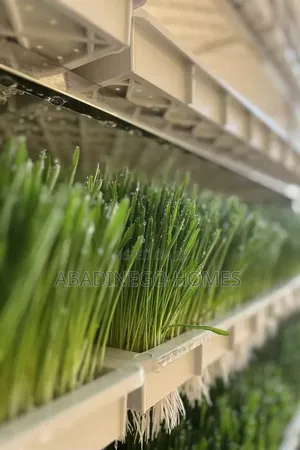 Hydroponic Fodder System Zane da Shigarwa
