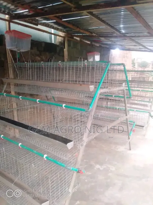 Galvanized Layer Cages - 96 Birds Capacity - 1