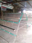 Galvanized Layer Cages - 96 Birds Capacity - 1