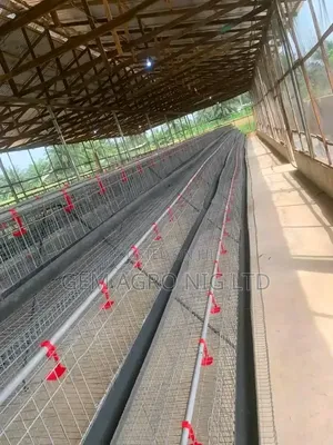 Galvanized Layer Cages - 96 Birds Capacity