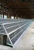 Galvanized Layer Cages - 96 Birds Capacity - 4