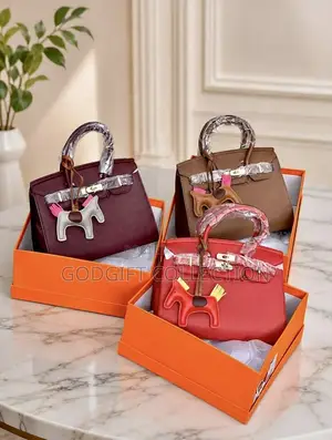 Original Hermes Handbag - Multicolor