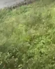 Filin Kasuwa a Iledu, Araromi-Ale - 1