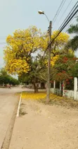 Landscaping Design & Garden Services - 2