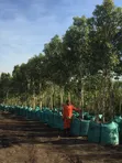 Landscaping Design & Garden Services - 4