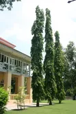 Landscaping Design & Garden Services - 5