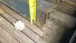 Angle Iron & Square Pipe - 3