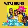 Brand Ambassador (Remote) - E-commerce - 2